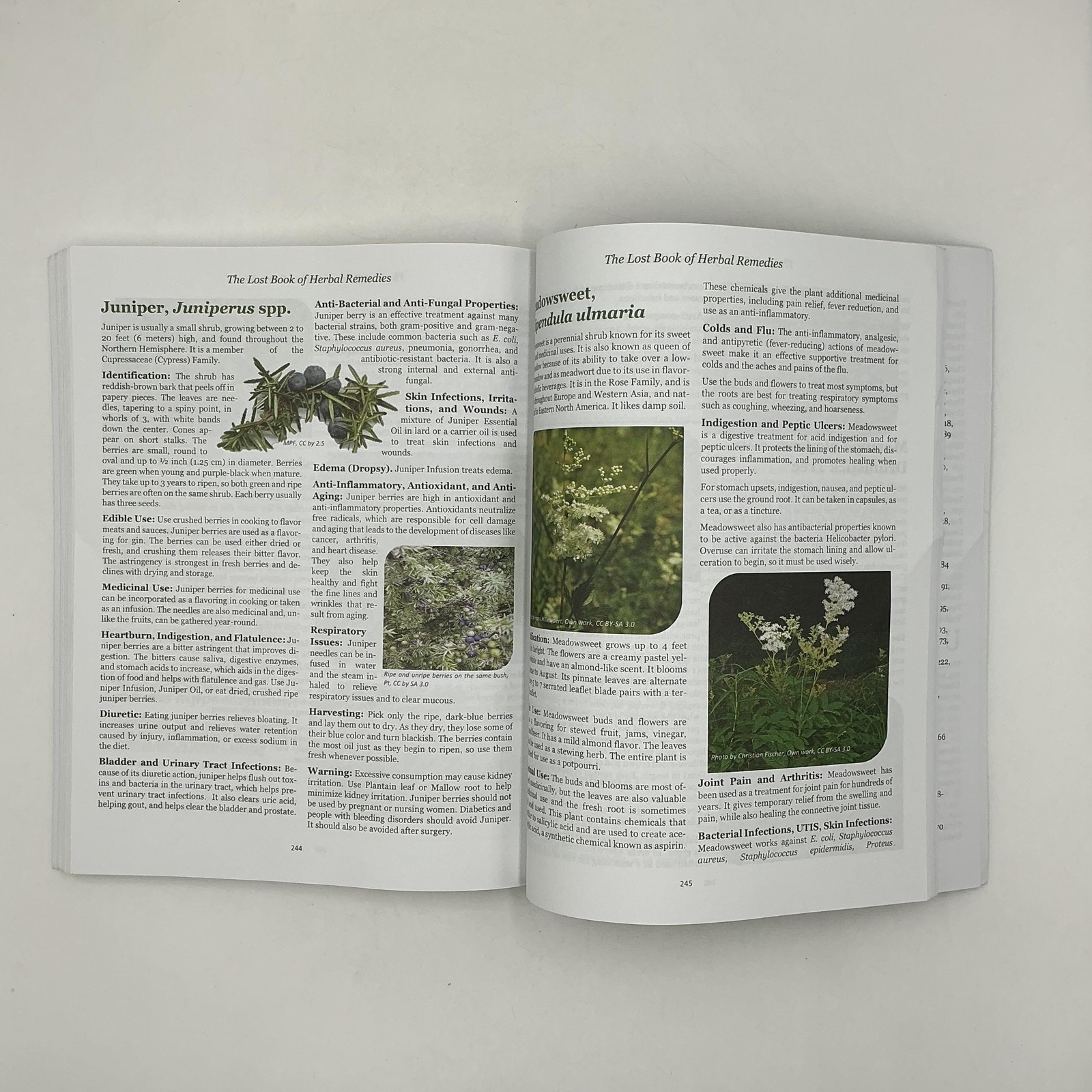 THE LOST BOOK OF HERBAL REMEDIES NICOLE APELIAN CLAUDE DAVIS 2021 PAPERBACK