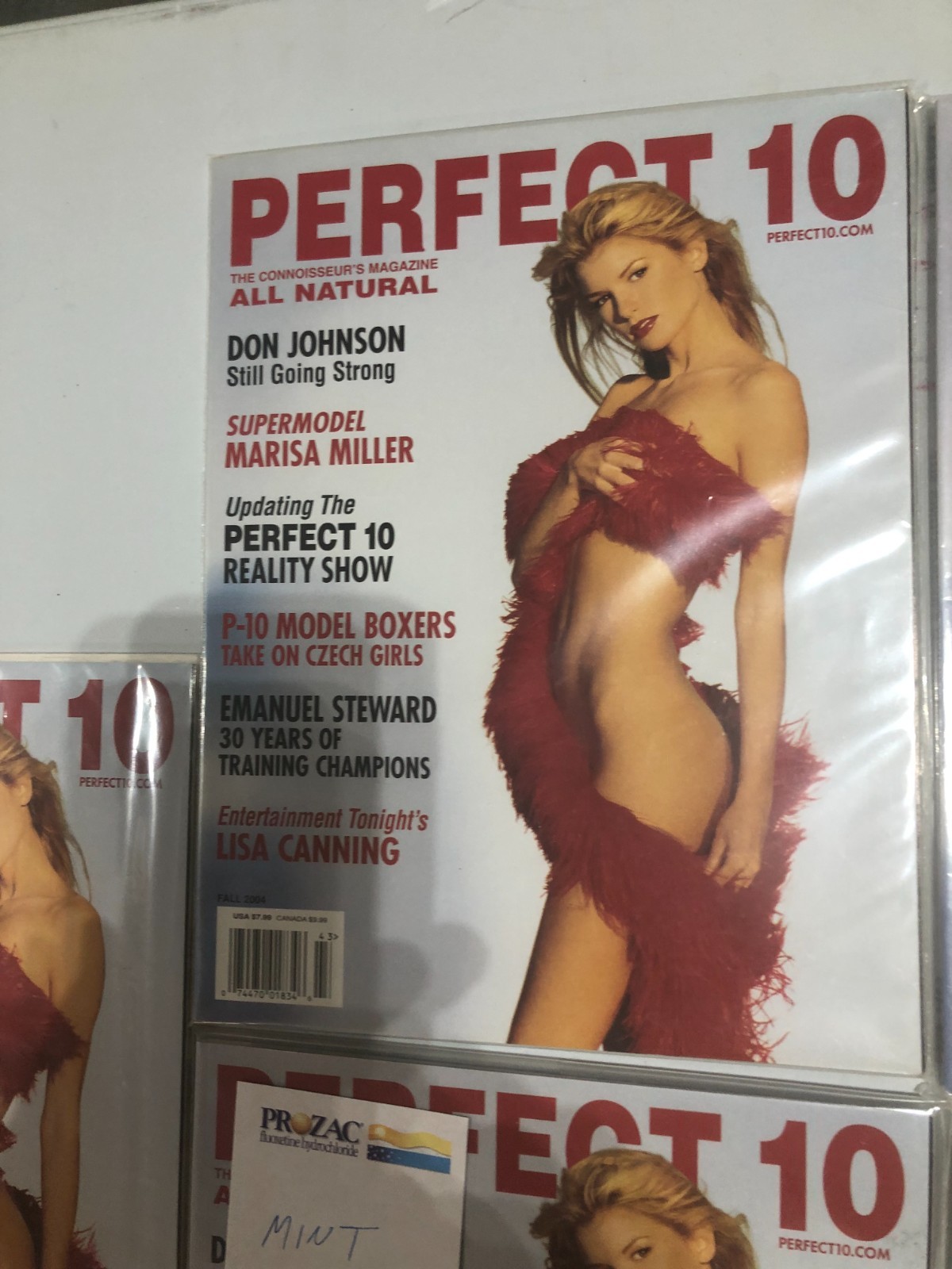Collectable Perfect 10 Magazines in Near Mint Condition