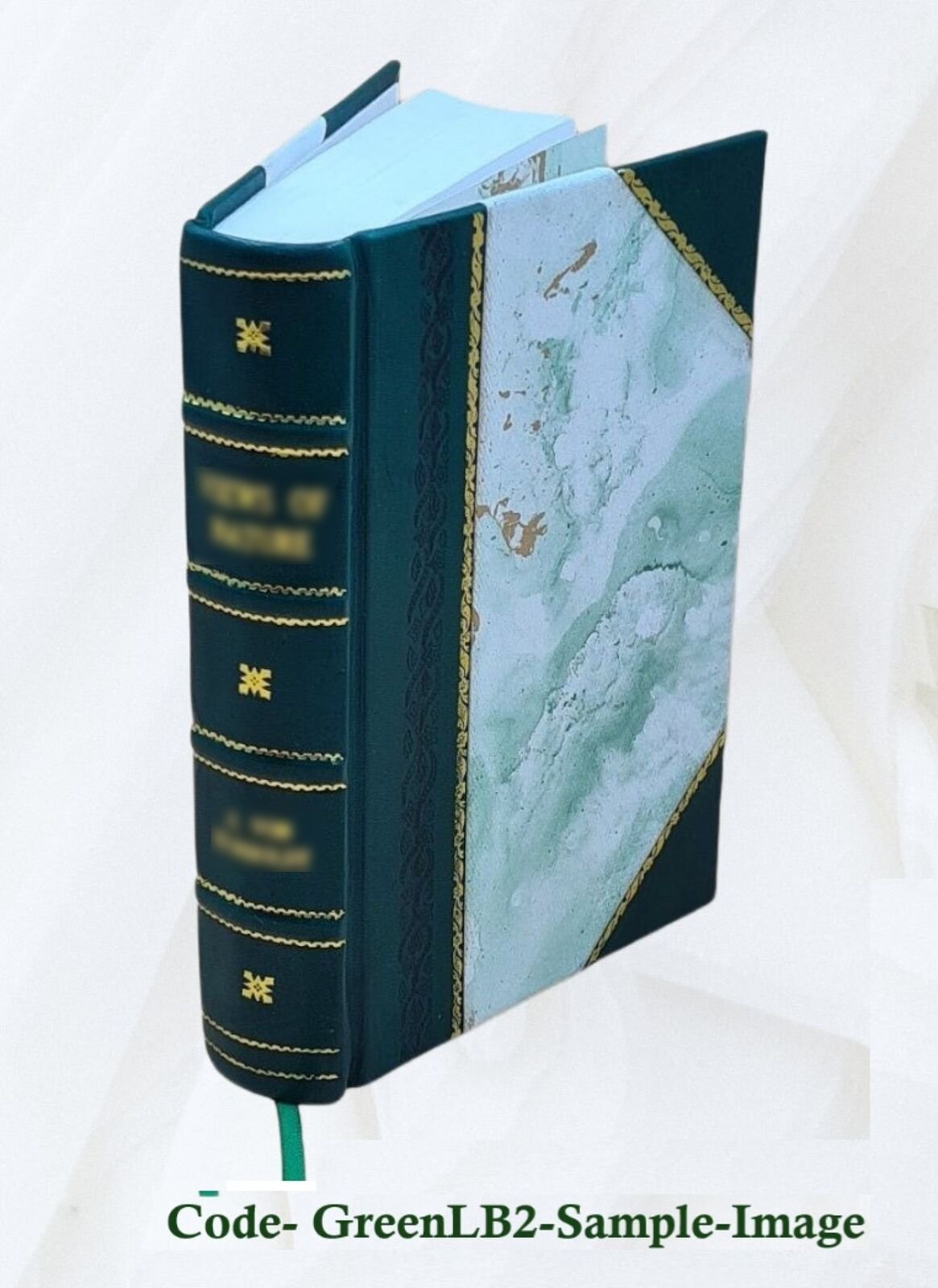 An Interpretation Of The Russian People 1915 By Leo Wiener [Leather Bound]