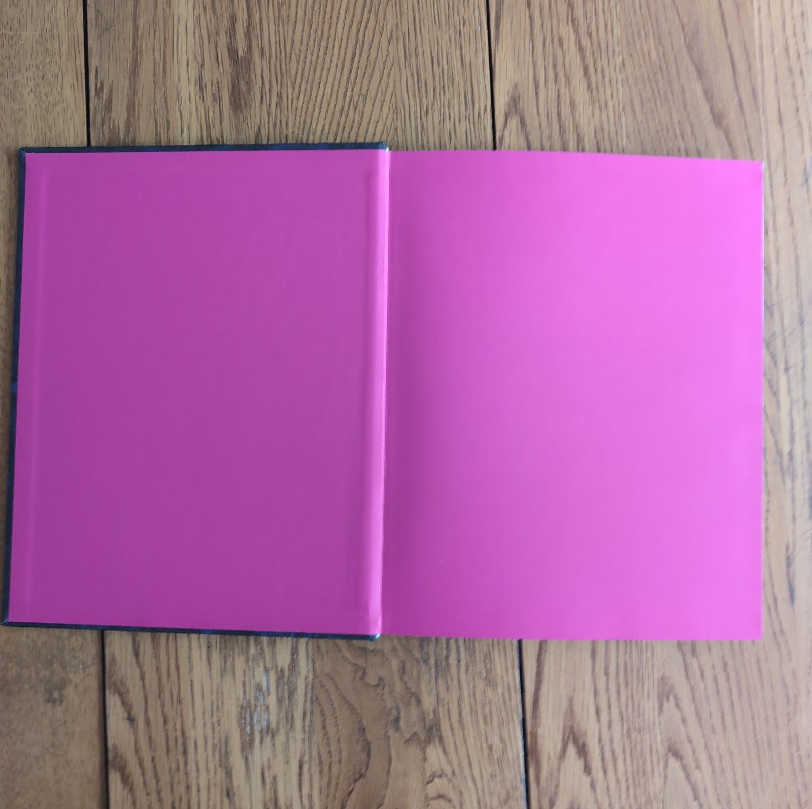 Blue Violet by Cig Harvey Hardcover 2021