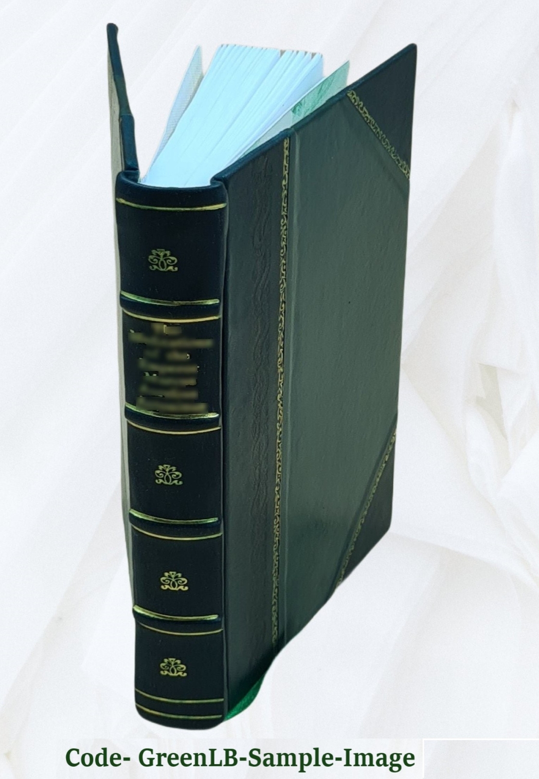 An Interpretation Of The Russian People 1915 By Leo Wiener [Leather Bound]