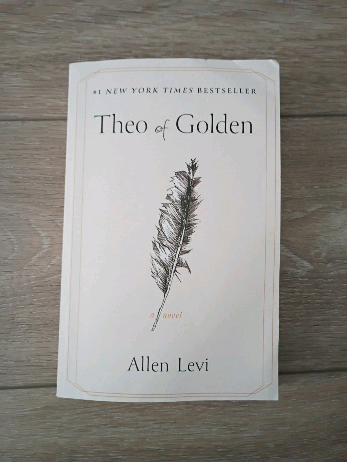 Theo of Golden: A Novel – Paperback Book by Levi Allen EXCELLENT