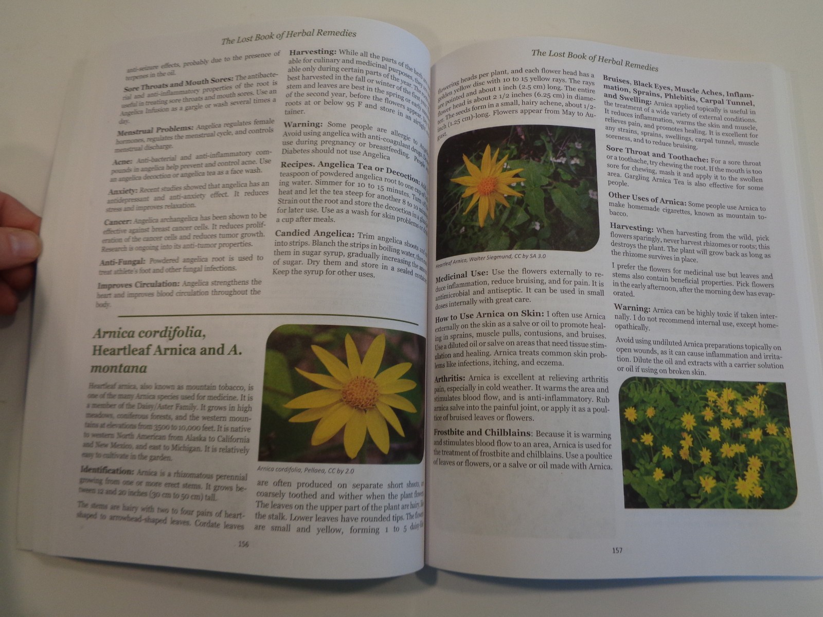 The Lost Book of Herbal Remedies by Claude Davis and Nicole Apelian Home Cures