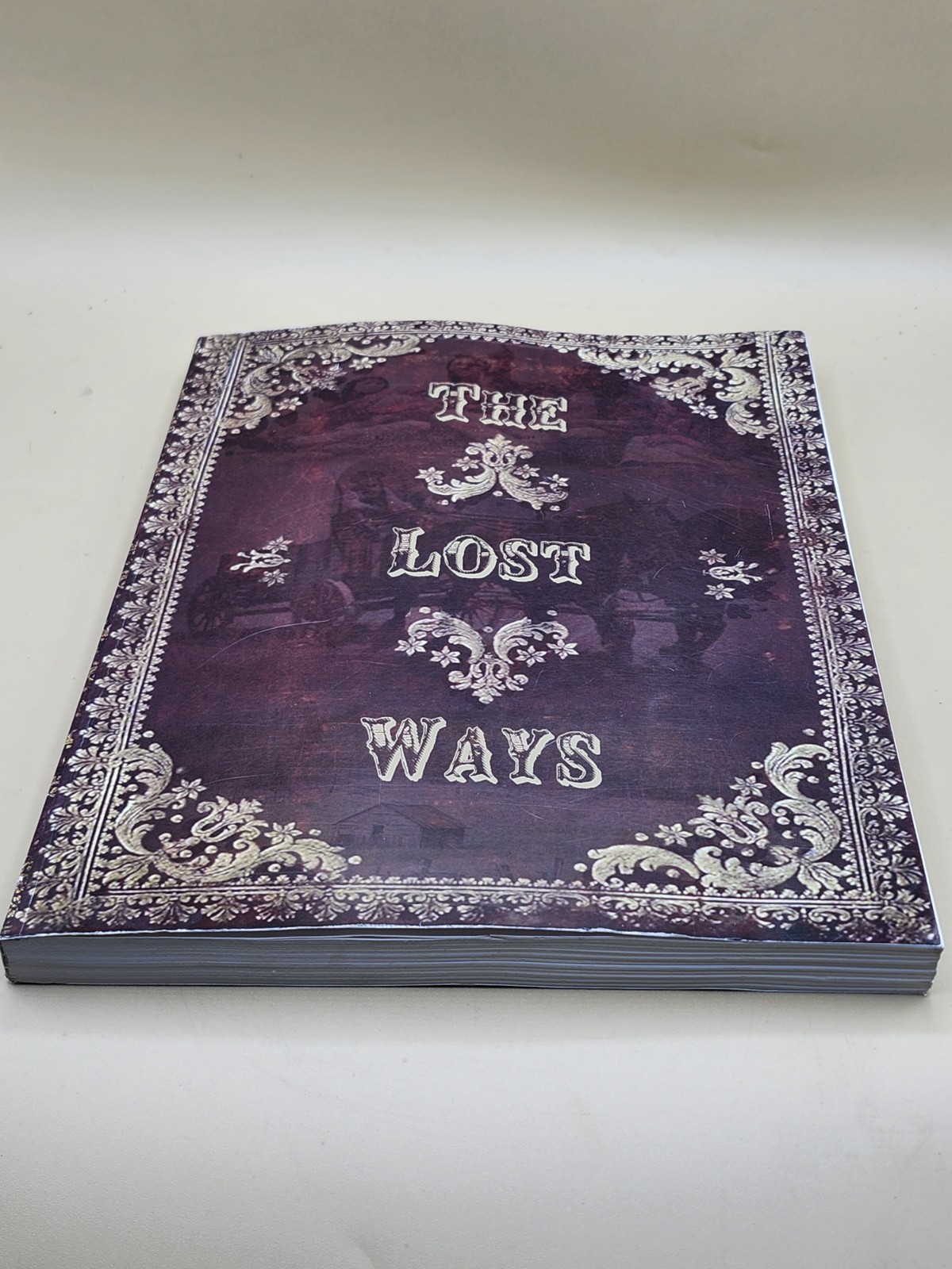The Lost Ways Edited by Claude Davis, 1st Edition (Paperback, 2015) Homesteading