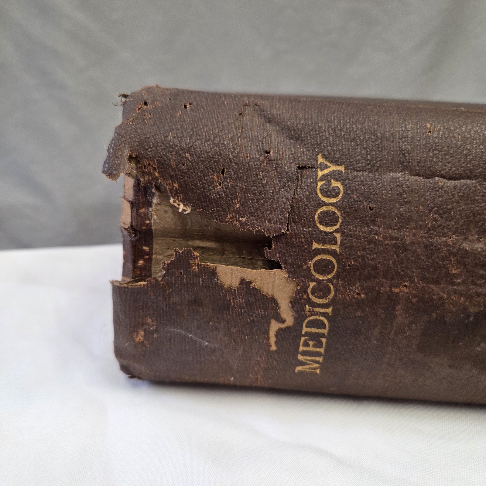 Medicology or Home Encyclopedia of Health 1906 Joseph Richardson 10 volumes in 1