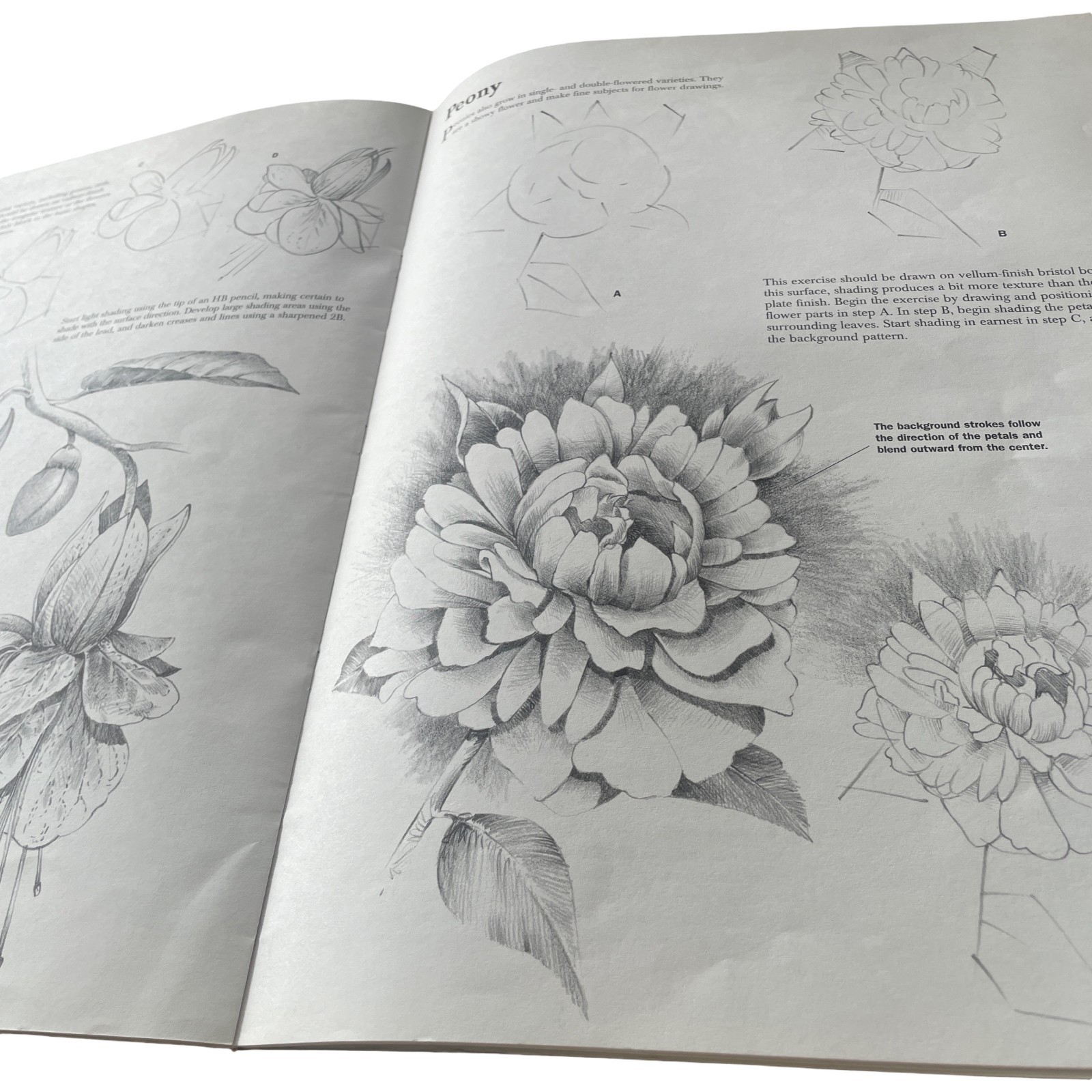 Walter Foster – Drawing Flower – 1997 – Vintage Book – Unbranded