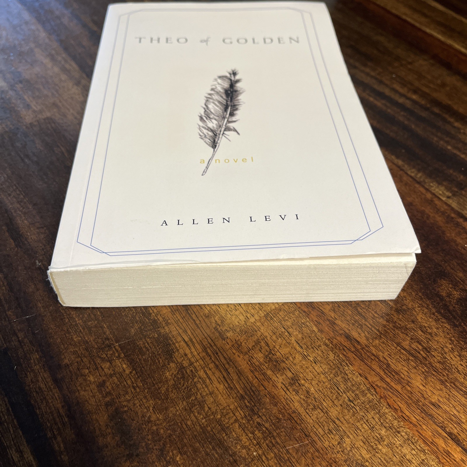 Theo of Golden Allen Levi RARE SELF PUBLISHED True 1st Edition STATED TPB