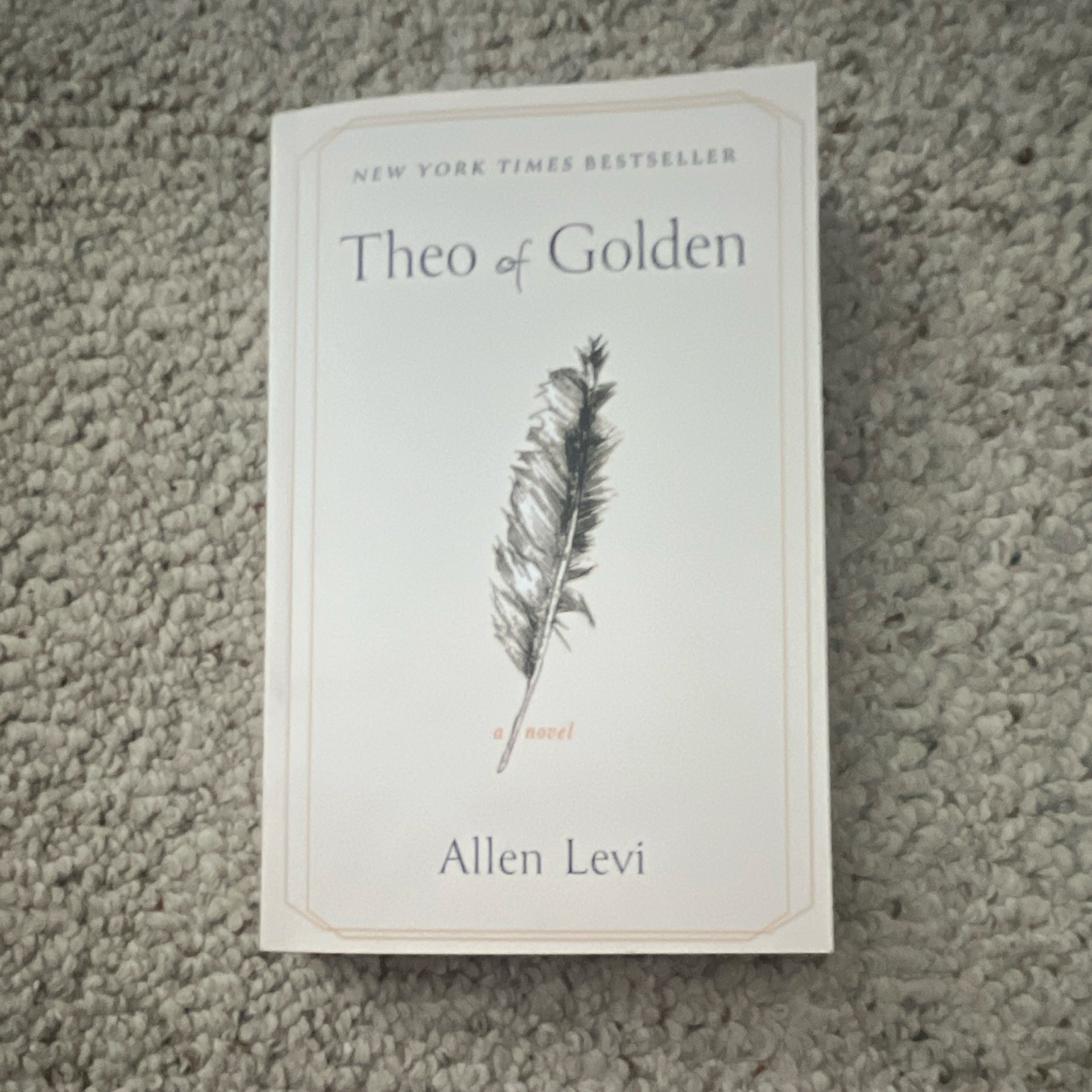 Allen Levi Theo of Golden Paperback Fiction Novel English Atria Paperback