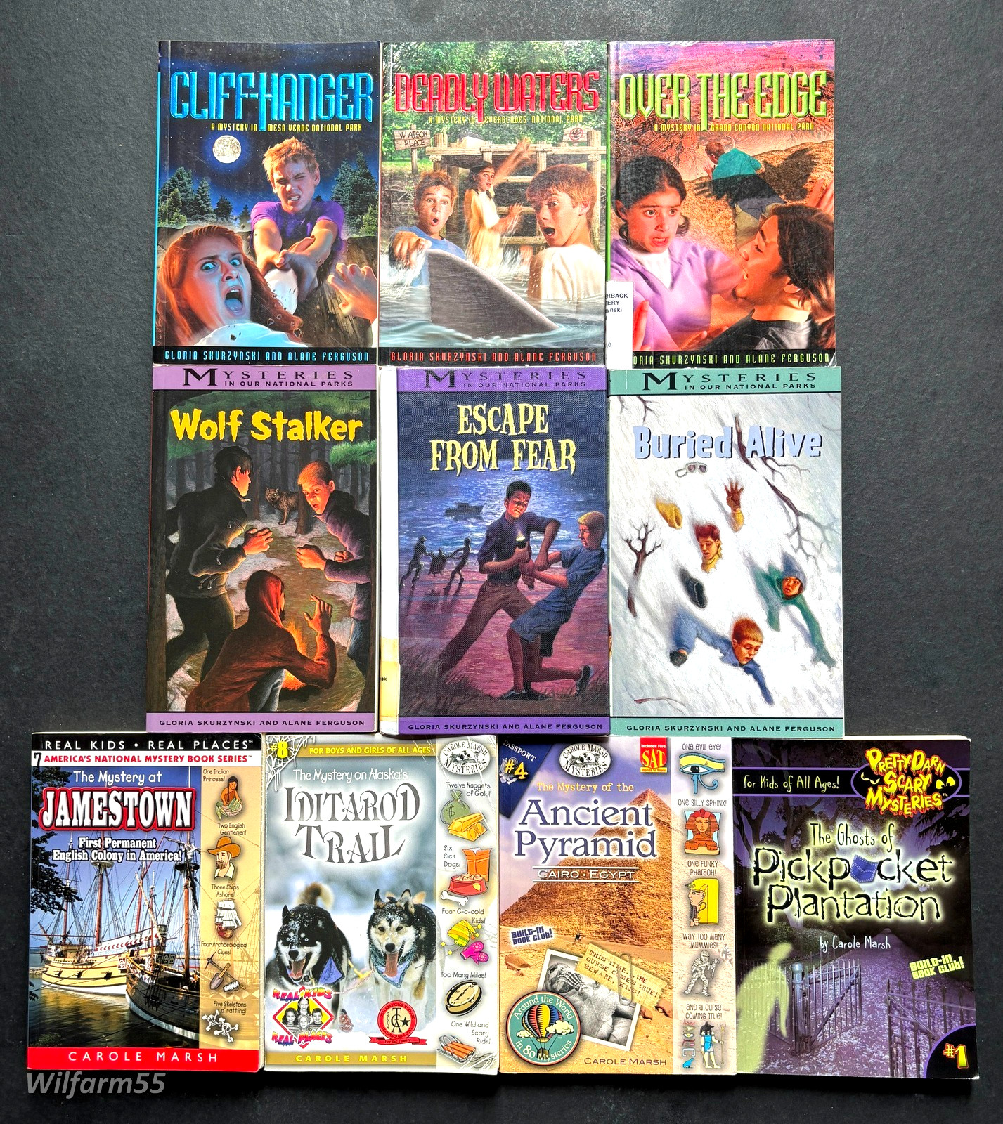 10 Lot Historic Mystery Books In Our National Parks & Carole Marsh Mysteries