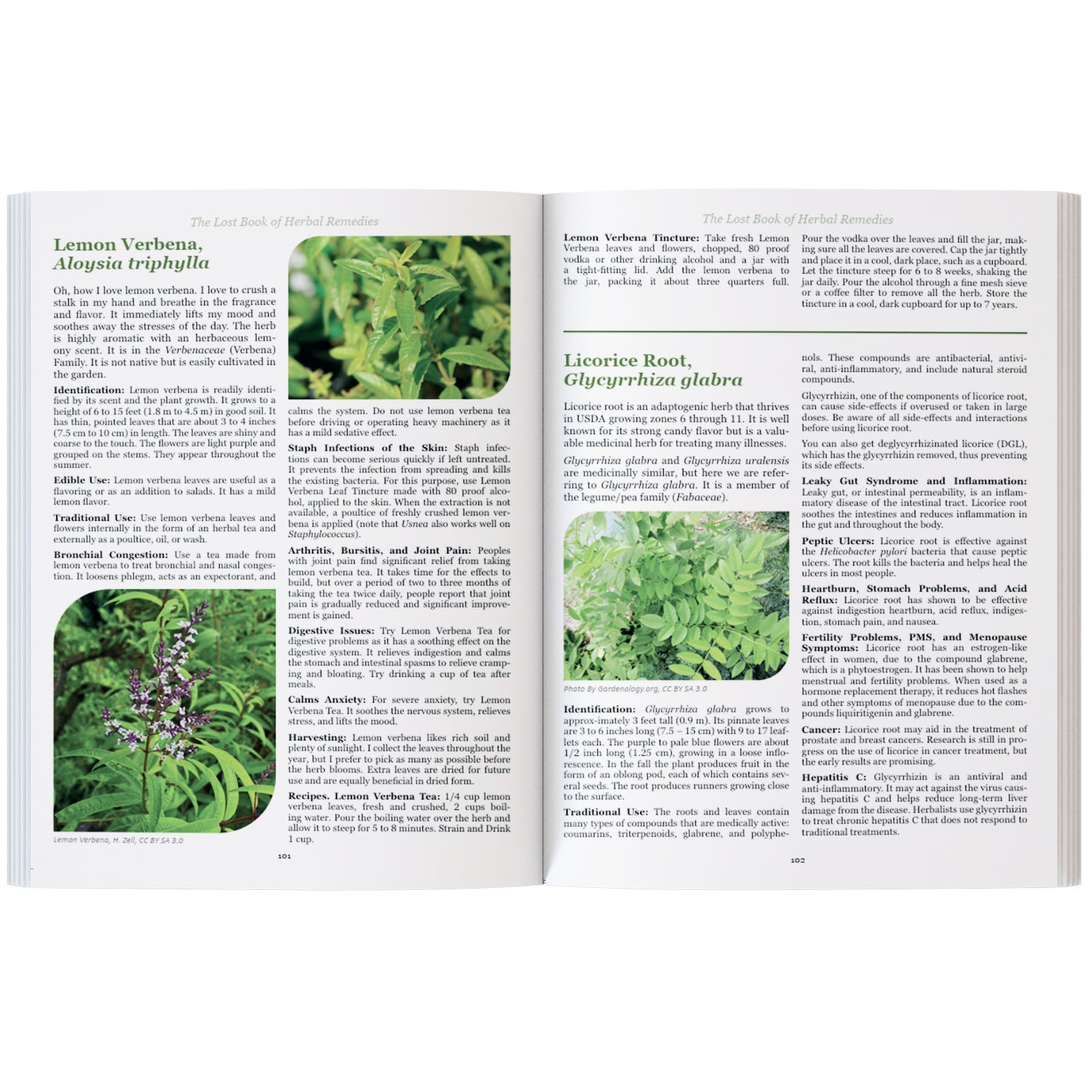 The Lost Book of Herbal Remedies (paperback with color pictures)