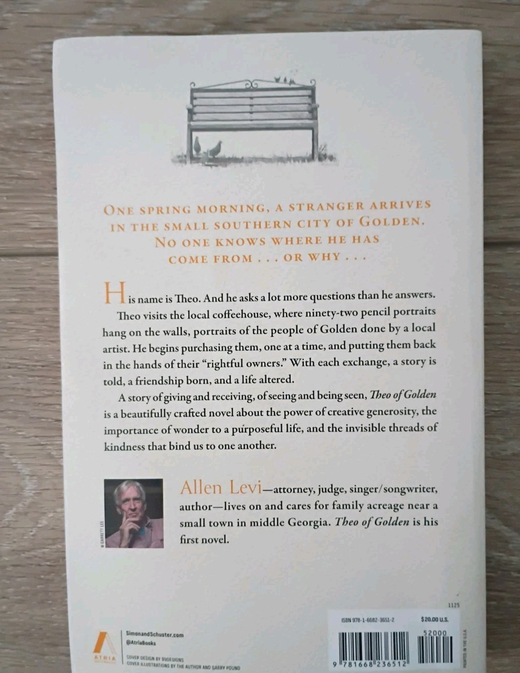 Theo of Golden: A Novel – Paperback Book by Levi Allen EXCELLENT