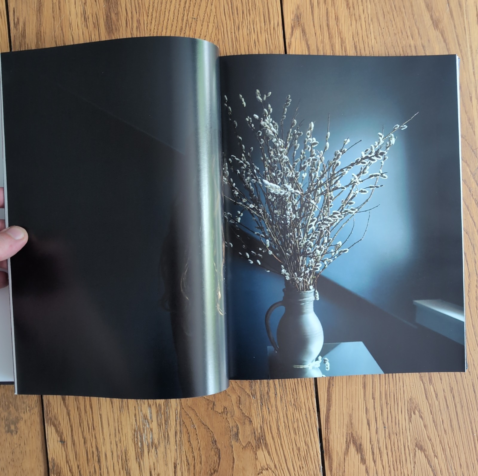 Blue Violet by Cig Harvey Hardcover 2021