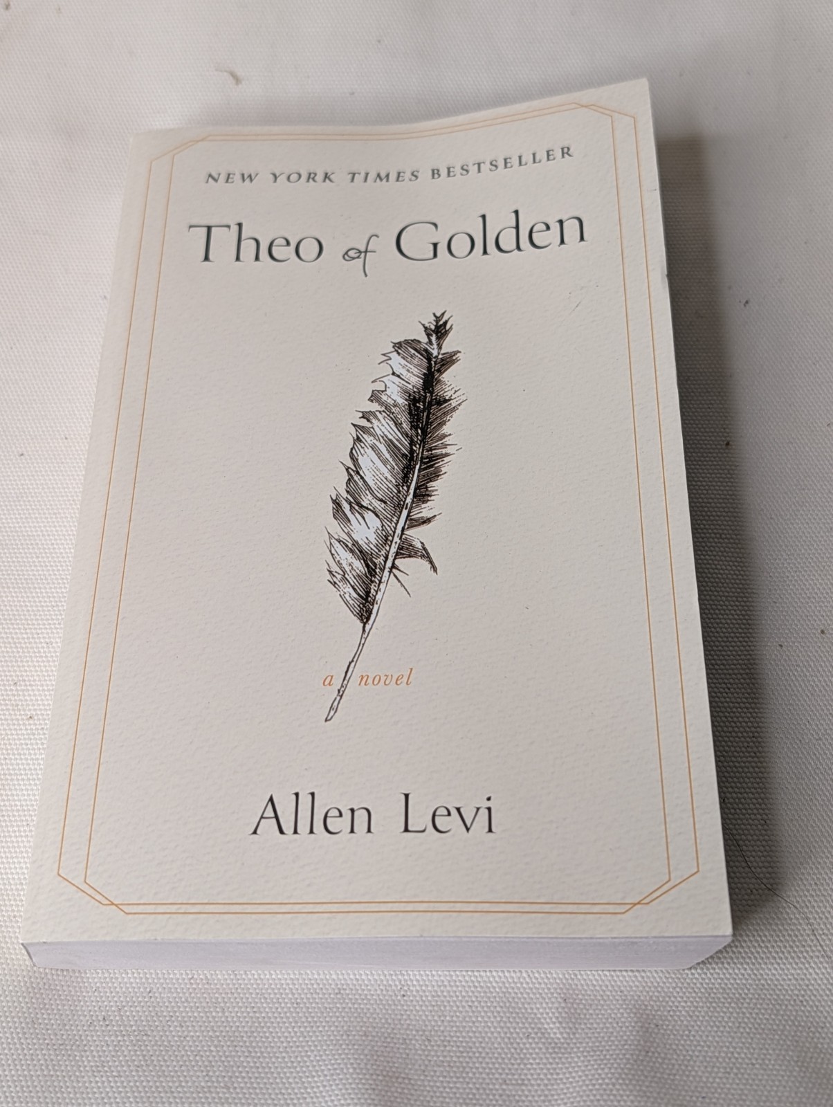 Theo of Golden : A Novel by Allen Levi (2025, Trade Paperback)