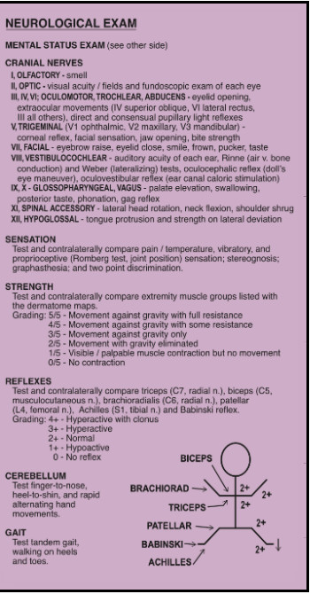 Maxwell Quick Medical Reference Book 7th Edition- Badge Size Vertical