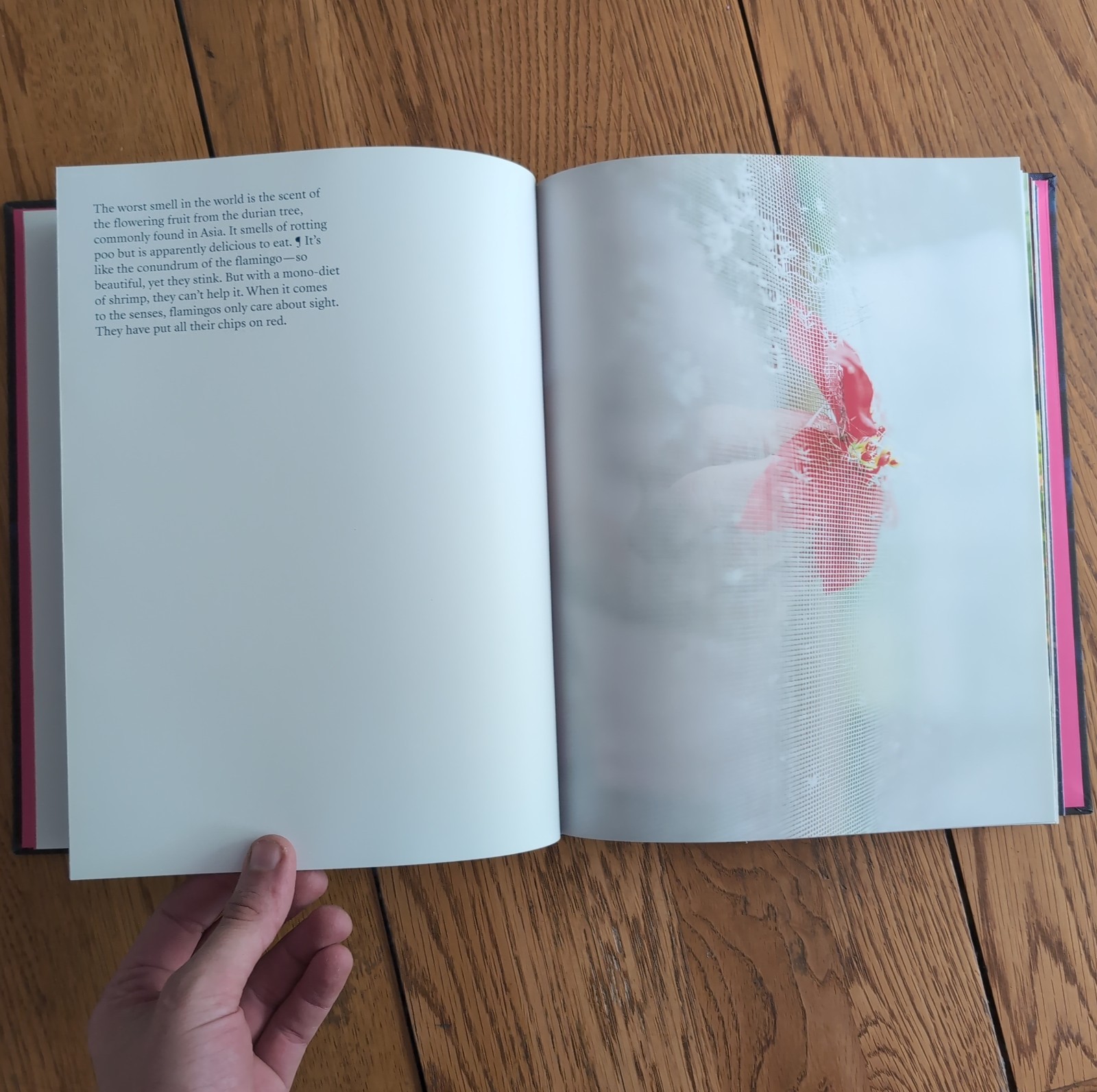Blue Violet by Cig Harvey Hardcover 2021